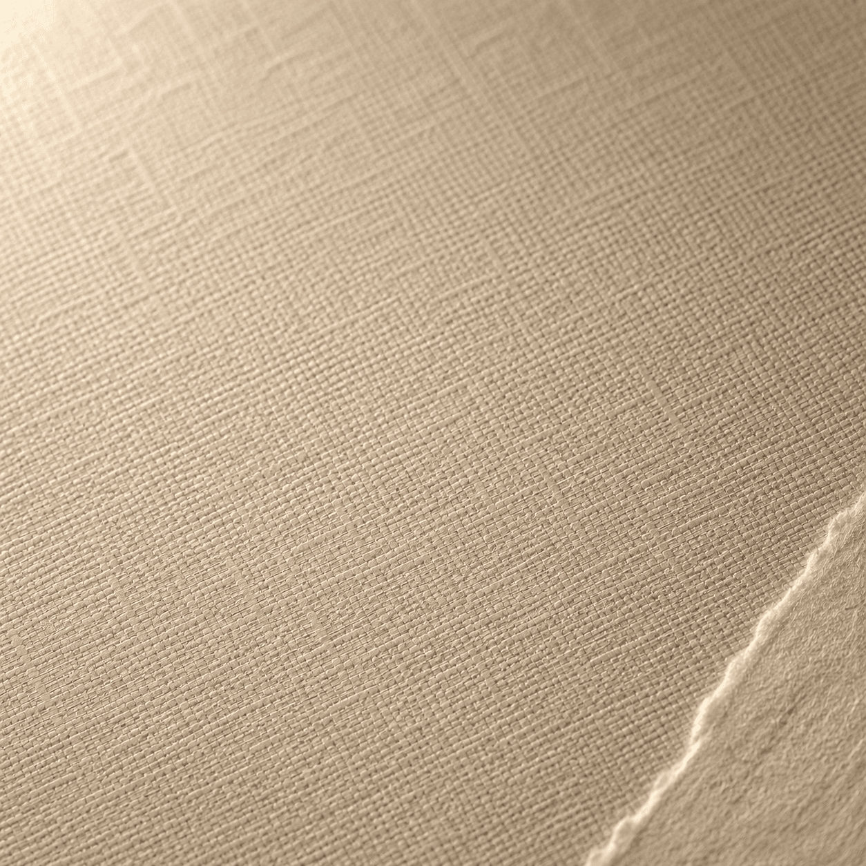 Specialty textured paper macro — linen / felt feel